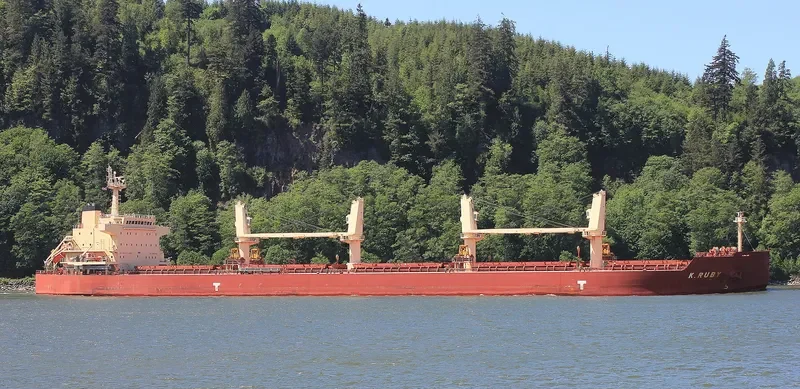 K.RUBY Bulk Carrier IMO 9514042 photo 2