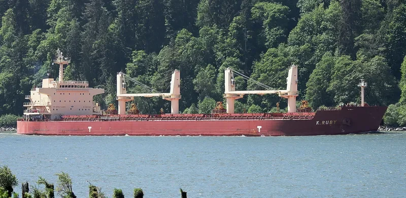 K.RUBY Bulk Carrier IMO 9514042 photo 5