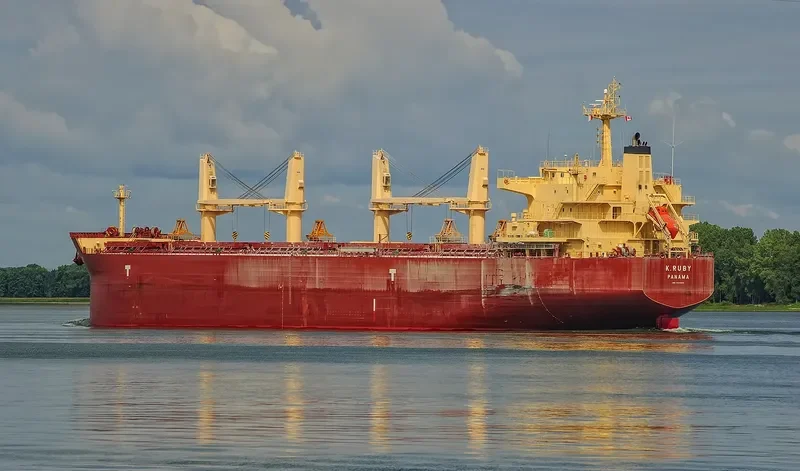 K.RUBY Bulk Carrier IMO 9514042 photo 7