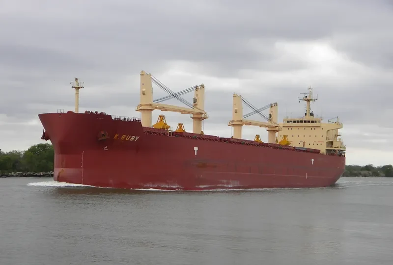 K.RUBY Bulk Carrier IMO 9514042 photo 9