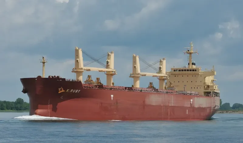 K.RUBY Bulk Carrier IMO 9514042 photo 10