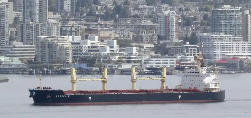 ANNIKA N Bulk Carrier IMO 9514054 photo 3