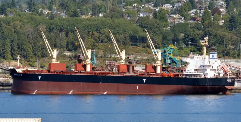 ANNIKA N Bulk Carrier IMO 9514054 photo 5