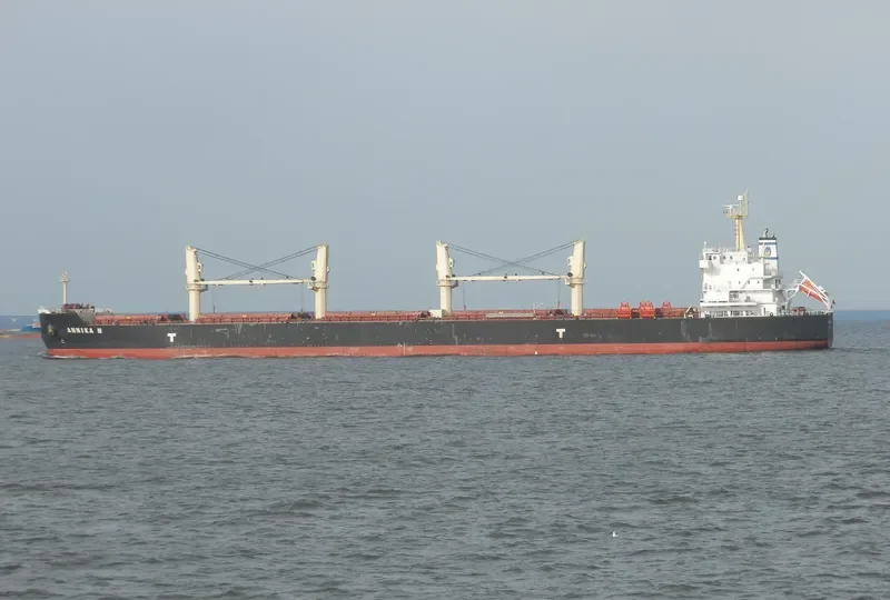 ANNIKA N Bulk Carrier IMO 9514054 photo 8