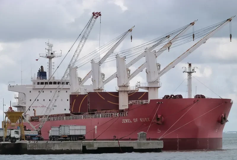 IVY DELTA Bulk Carrier IMO 9514078 photo 2