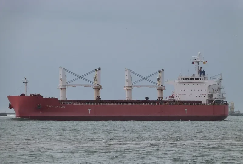 IVY DELTA Bulk Carrier IMO 9514078 photo 3