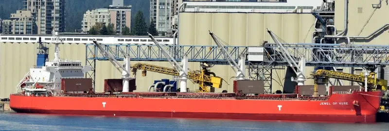 IVY DELTA Bulk Carrier IMO 9514078 photo 5