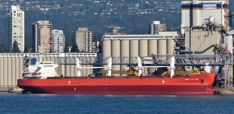 IVY DELTA Bulk Carrier IMO 9514078 photo 7