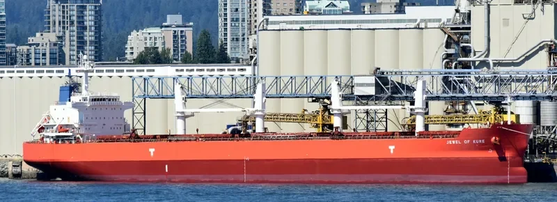 IVY DELTA Bulk Carrier IMO 9514078 photo 8