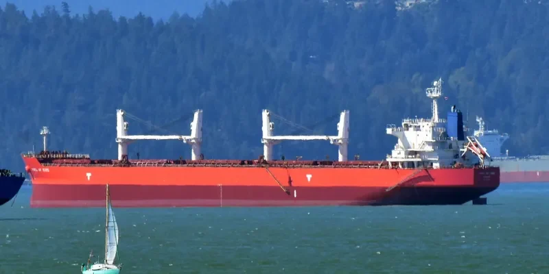 IVY DELTA Bulk Carrier IMO 9514078 photo 9