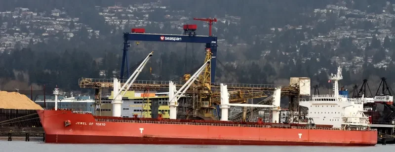 IVY UNICORN Bulk Carrier IMO 9514080 photo 4