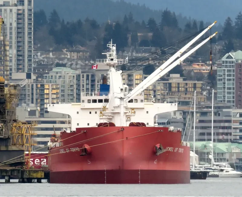 IVY UNICORN Bulk Carrier IMO 9514080 photo 5