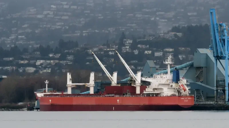 IVY UNICORN Bulk Carrier IMO 9514080 photo 6