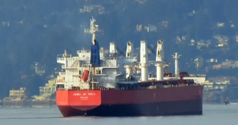 IVY UNICORN Bulk Carrier IMO 9514080 photo 7