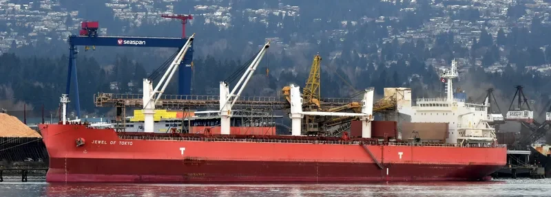 IVY UNICORN Bulk Carrier IMO 9514080 photo 8