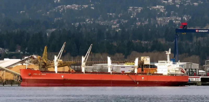 IVY UNICORN Bulk Carrier IMO 9514080 photo 9