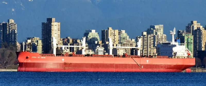 IVY UNICORN Bulk Carrier IMO 9514080 photo 10