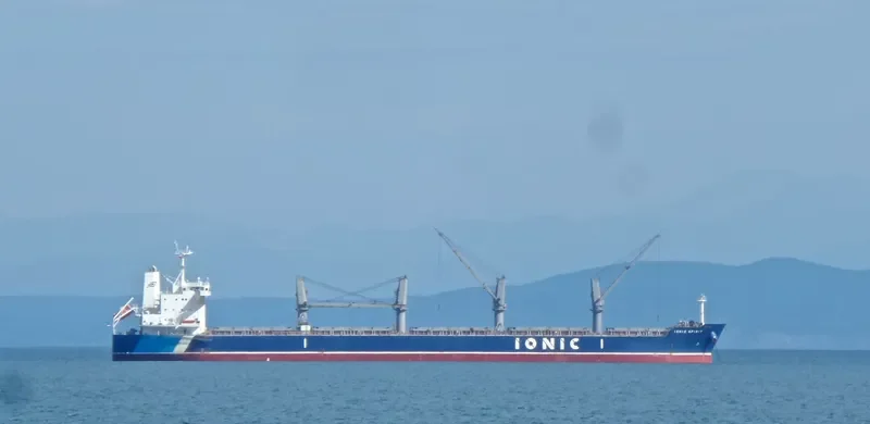 IONIC SPIRIT Bulk Carrier IMO 9514200 photo 8
