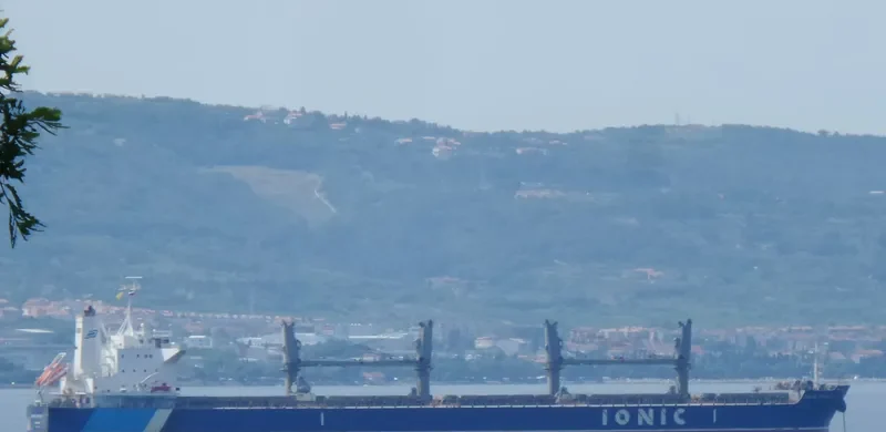 IONIC SPIRIT Bulk Carrier IMO 9514200 photo 9