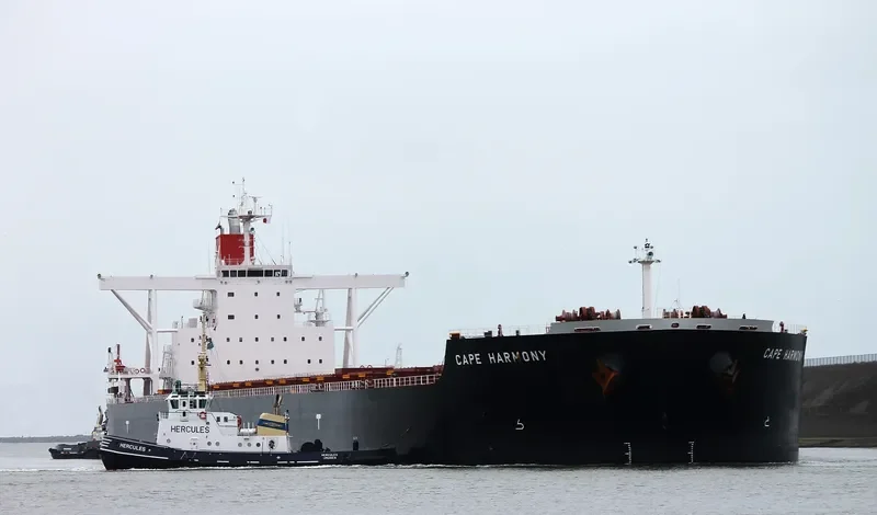 CAPE HARMONY Bulk Carrier IMO 9514212 photo 2