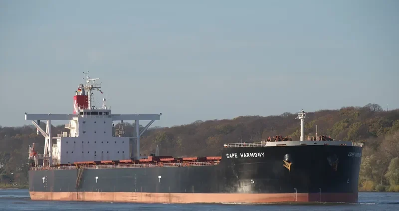 CAPE HARMONY Bulk Carrier IMO 9514212 photo 8