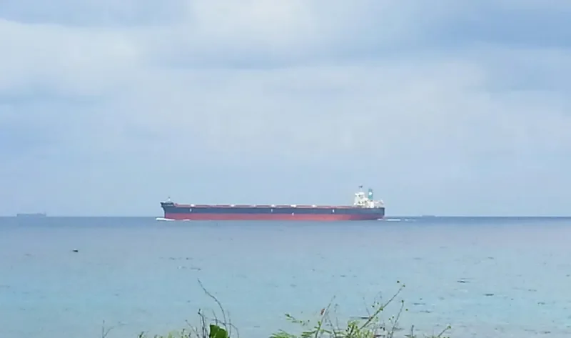 FLAGSHIP Bulk Carrier IMO 9514224