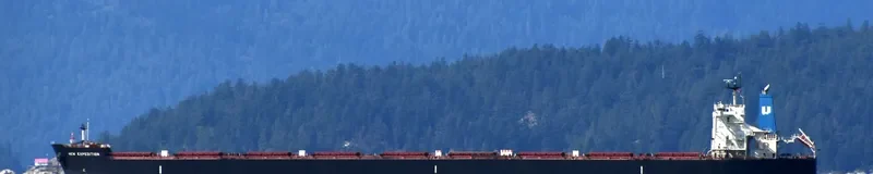 FLAGSHIP Bulk Carrier IMO 9514224 photo 6