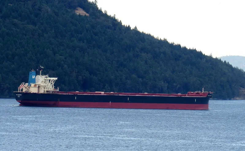 FLAGSHIP Bulk Carrier IMO 9514224 photo 8