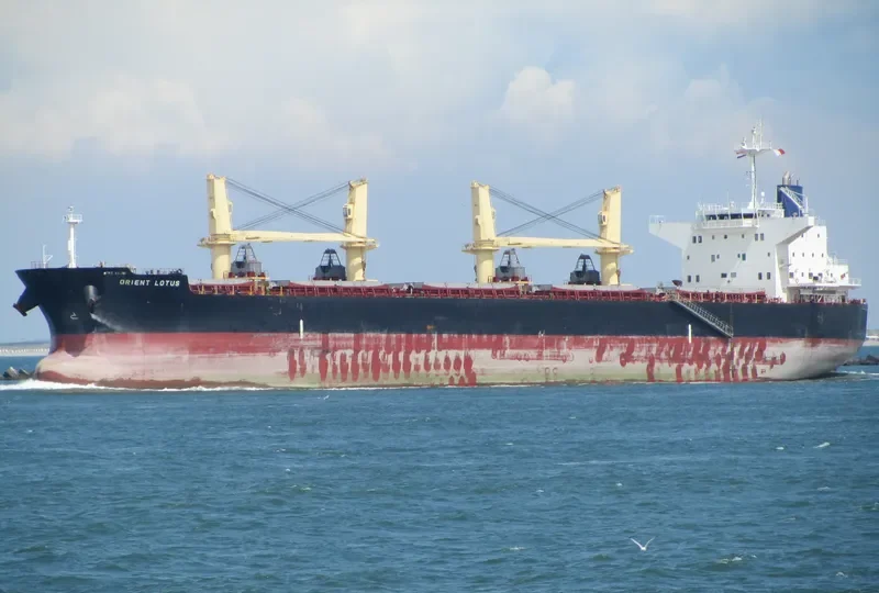 BULK BAHAMAS Bulk Carrier IMO 9514315 photo 9