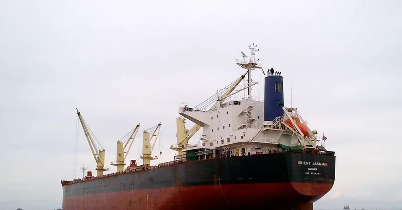 JASMINE Bulk Carrier IMO 9514327 photo 4