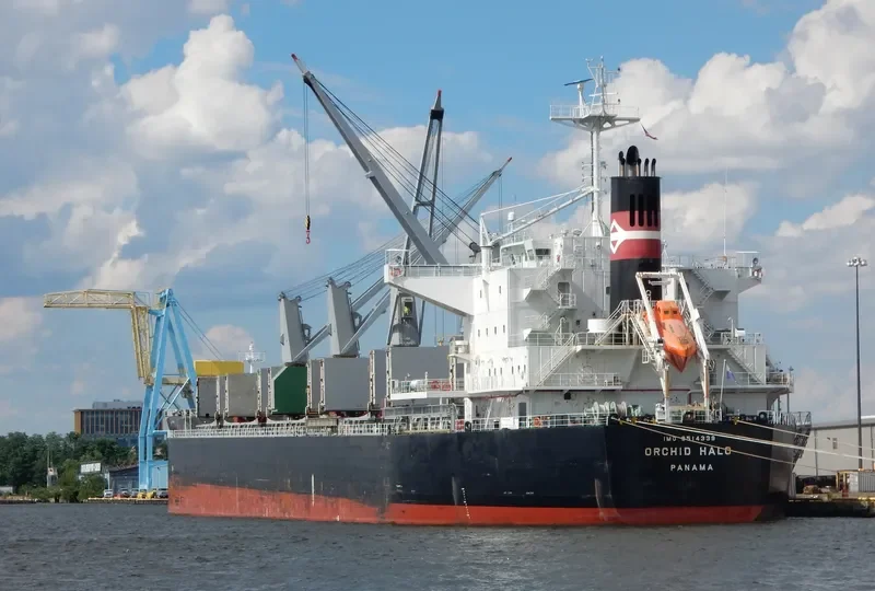 HOPE 1 Bulk Carrier IMO 9514339 photo 2