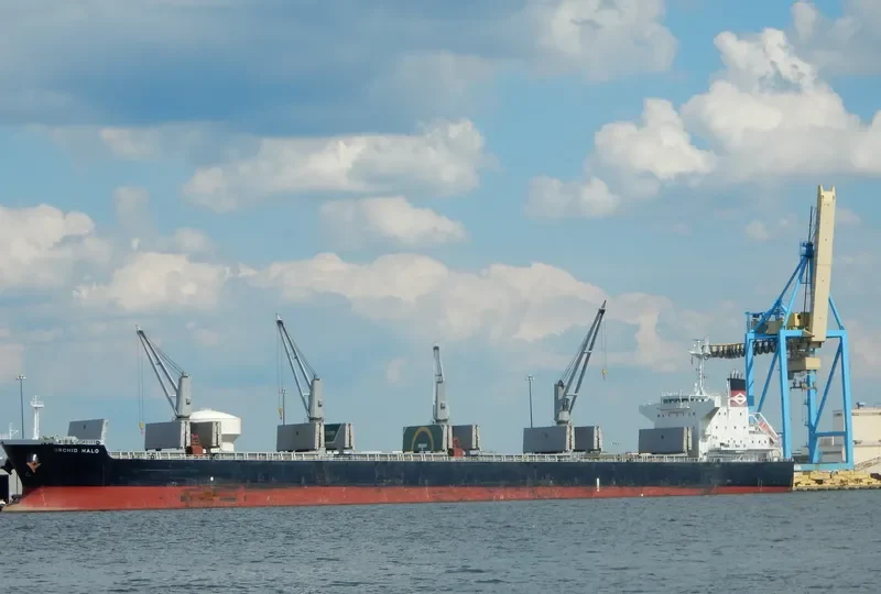 HOPE 1 Bulk Carrier IMO 9514339 photo 3