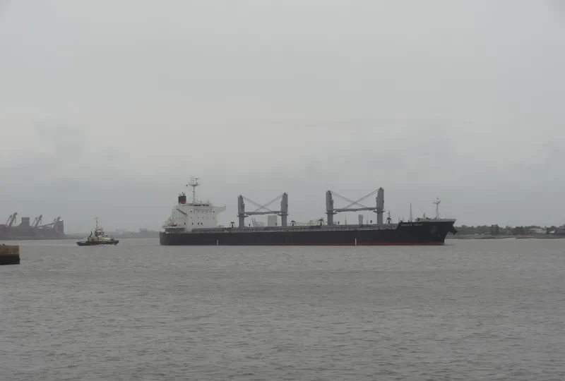 HOPE 1 Bulk Carrier IMO 9514339 photo 4