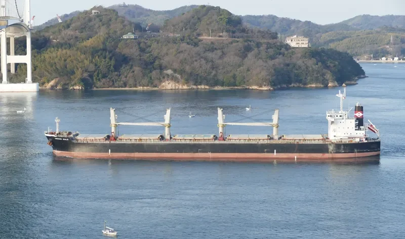 HOPE 1 Bulk Carrier IMO 9514339 photo 5