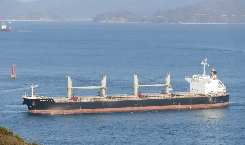 HOPE 1 Bulk Carrier IMO 9514339 photo 6