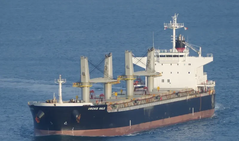 HOPE 1 Bulk Carrier IMO 9514339 photo 7