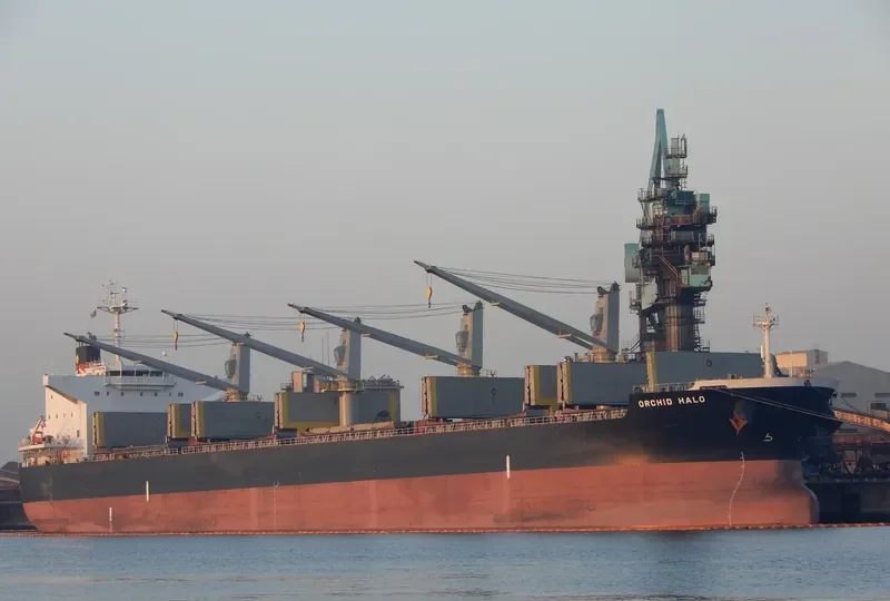 HOPE 1 Bulk Carrier IMO 9514339 photo 8
