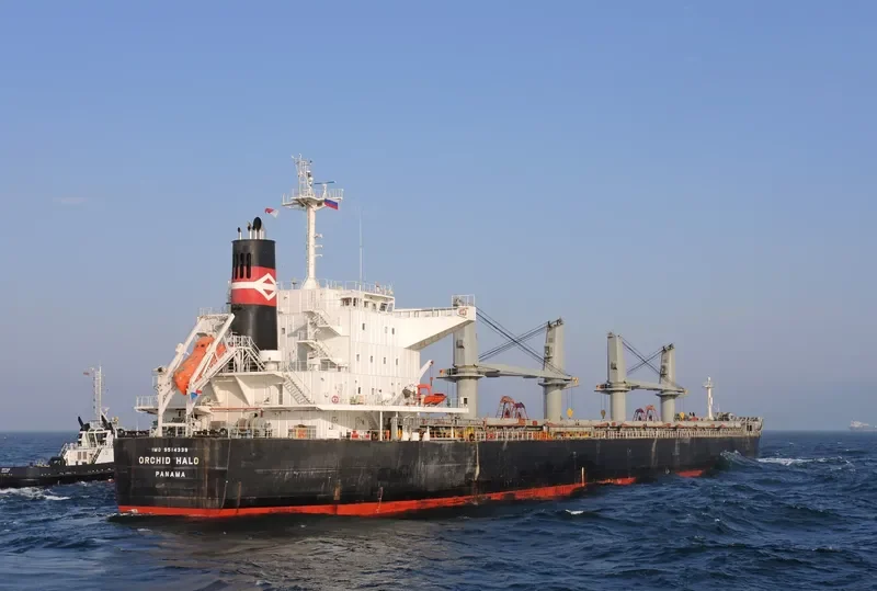 HOPE 1 Bulk Carrier IMO 9514339 photo 9