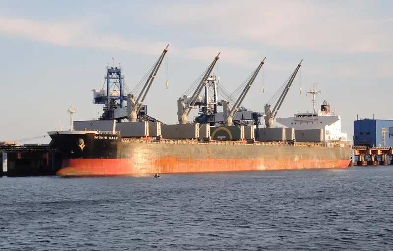 HOPE 1 Bulk Carrier IMO 9514339 photo 10
