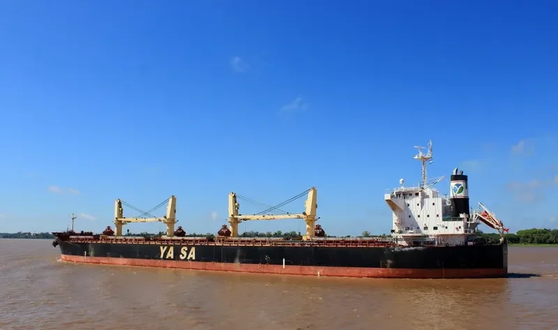 YASA KAPTAN ERBIL Bulk Carrier IMO 9514341 photo 7
