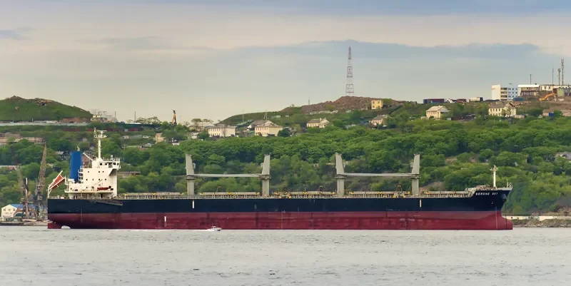 SERENE SKY Bulk Carrier IMO 9514353