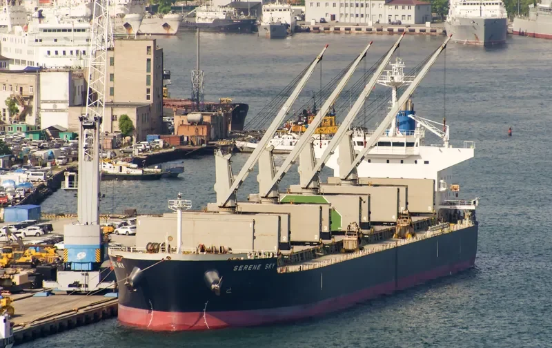 SERENE SKY Bulk Carrier IMO 9514353 photo 2