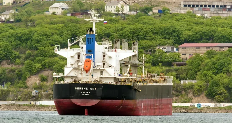 SERENE SKY Bulk Carrier IMO 9514353 photo 4