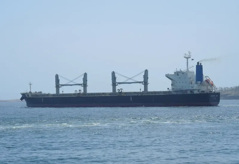 SERENE SKY Bulk Carrier IMO 9514353 photo 6