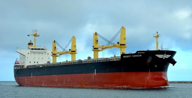 ELEFTHEROTRIA Bulk Carrier IMO 9514365 photo 5