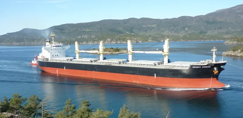 ELEFTHEROTRIA Bulk Carrier IMO 9514365 photo 10