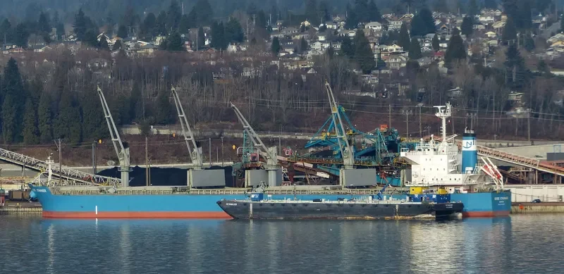 NORDIC STAVANGER Bulk Carrier IMO 9514377 photo 3