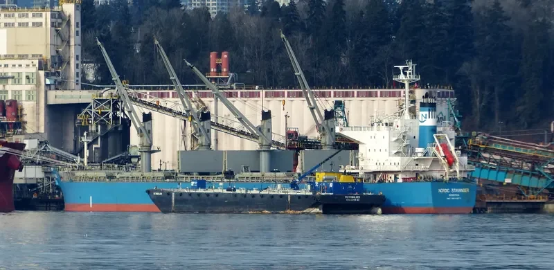 NORDIC STAVANGER Bulk Carrier IMO 9514377 photo 4