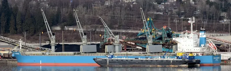 NORDIC STAVANGER Bulk Carrier IMO 9514377 photo 6