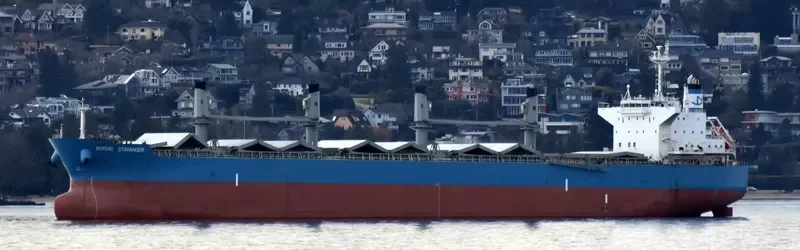 NORDIC STAVANGER Bulk Carrier IMO 9514377 photo 10